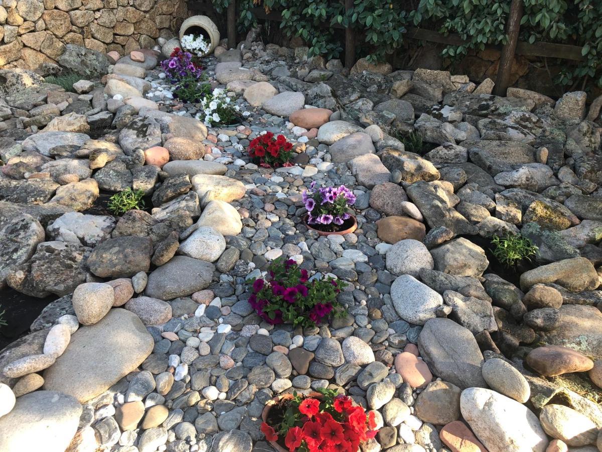 Villa Peonia Budoni Εξωτερικό φωτογραφία