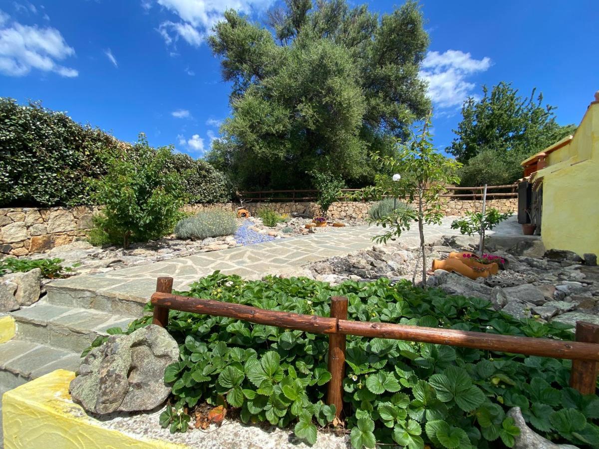 Villa Peonia Budoni Εξωτερικό φωτογραφία