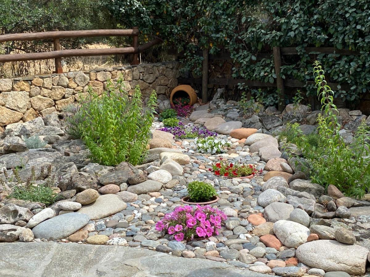Villa Peonia Budoni Εξωτερικό φωτογραφία
