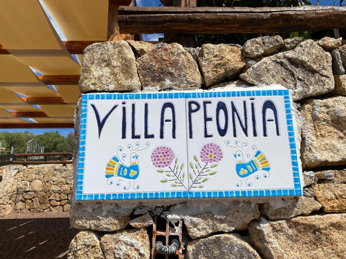 Villa Peonia Budoni Εξωτερικό φωτογραφία
